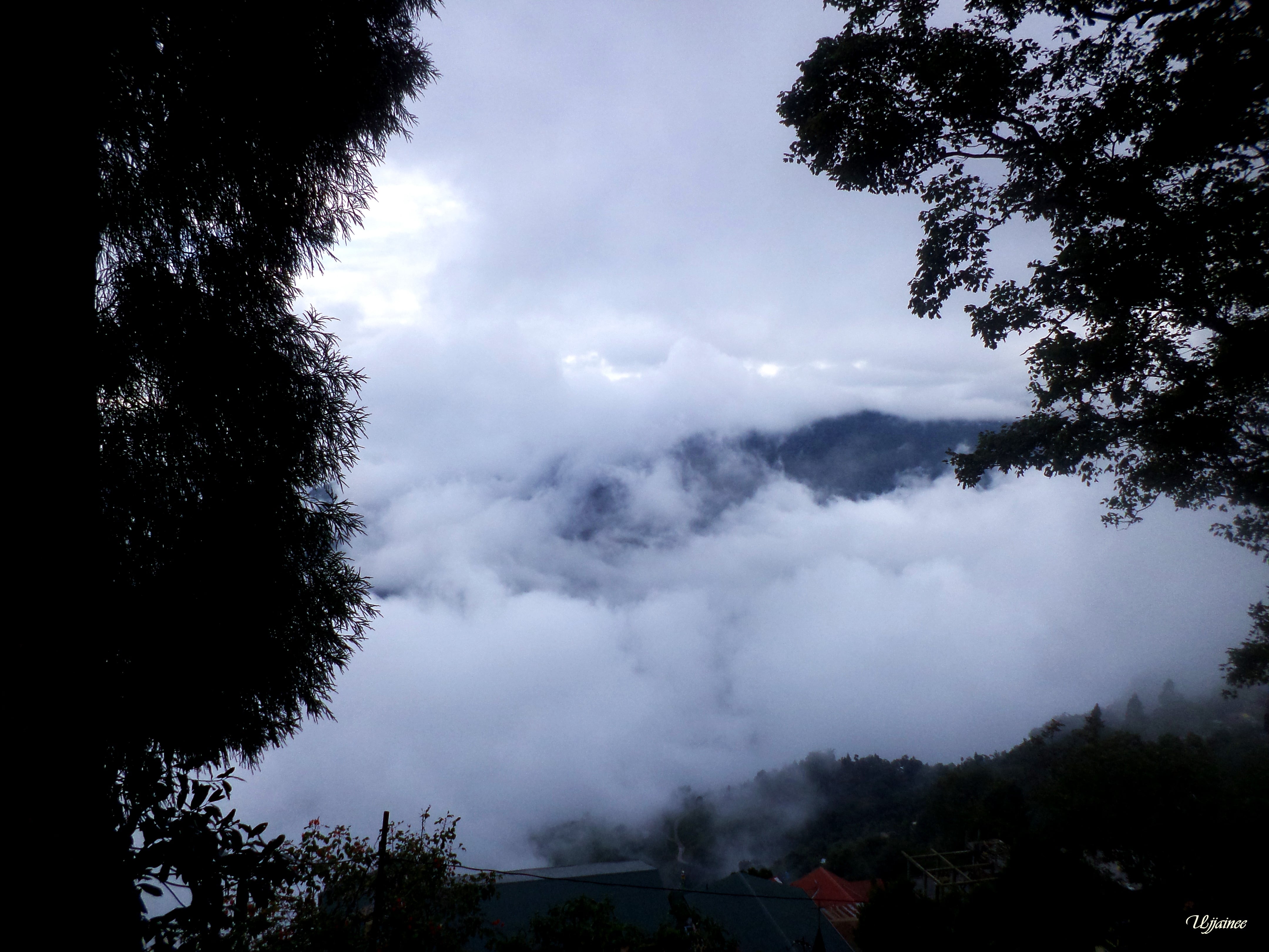My Memorable Experience in Darjeeling