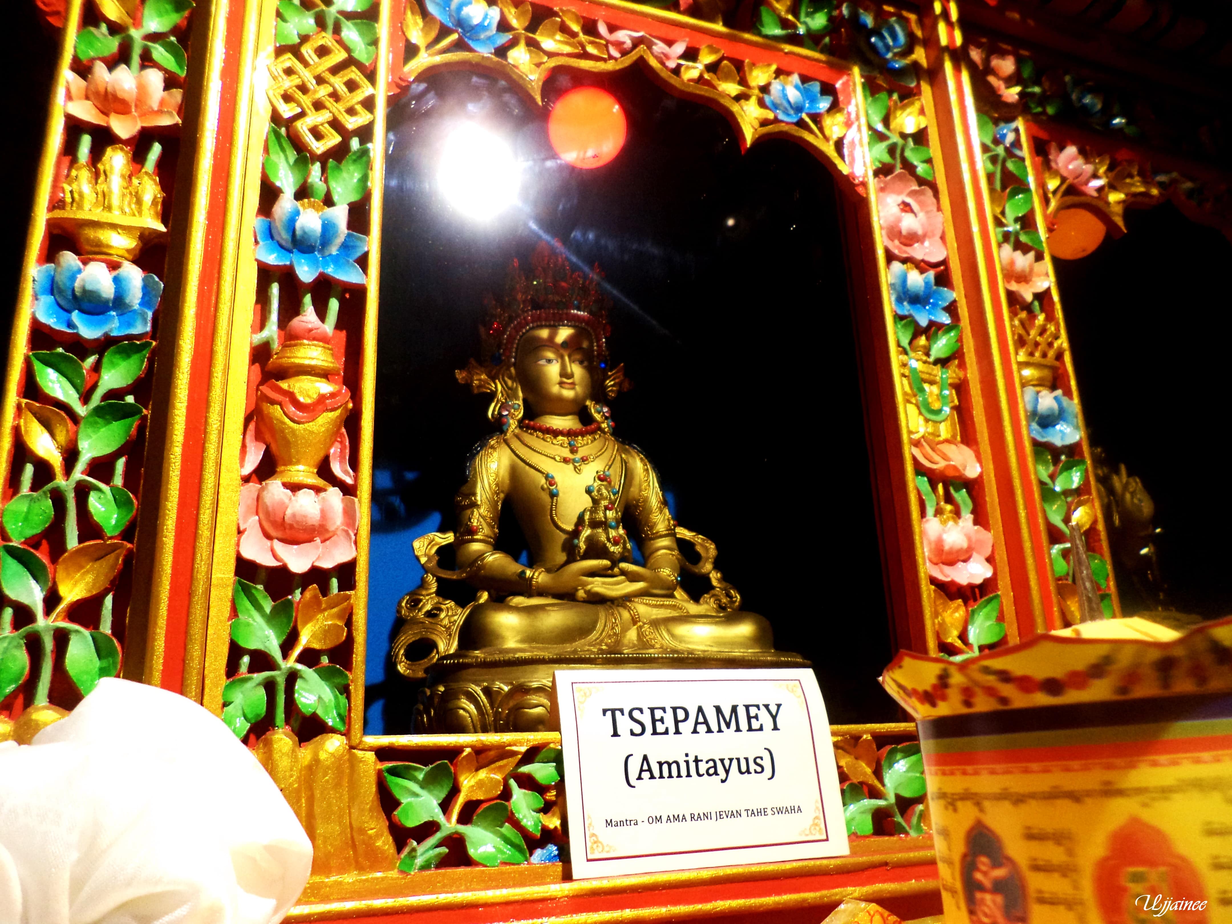 Know about Himalayan Tibet Museum in Darjeeling