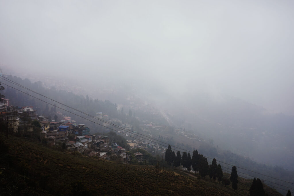 Happy Valley Tea Estate Darjeeling