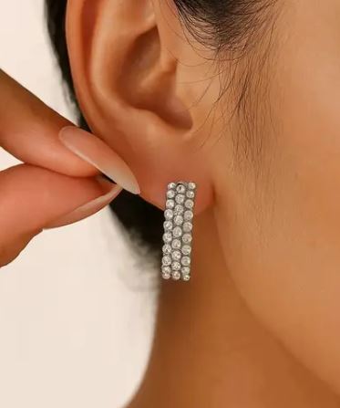 Stone Studded Earrings