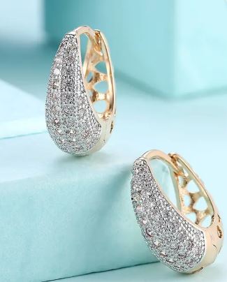 Stone Studded Earrings