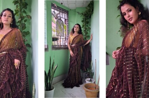 Ujjainee's Festivel Look