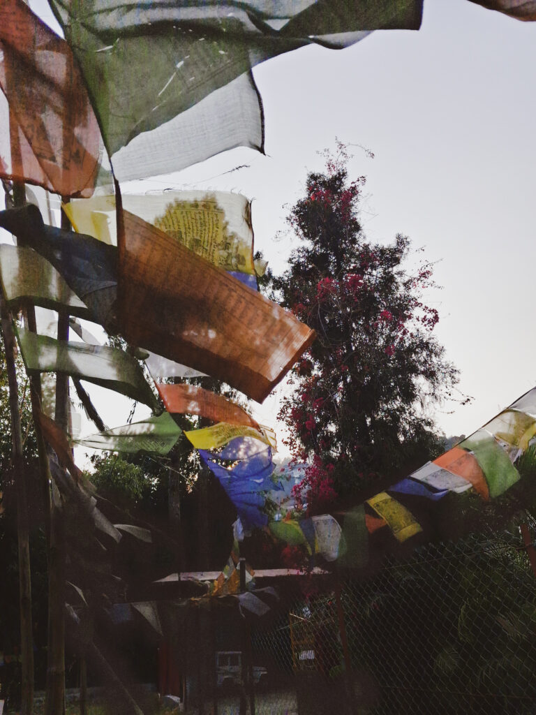 Lepcha Gumba Museum